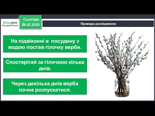 19.02.2020 Сьогодні Проведи дослідження На підвіконні в посудину з водою