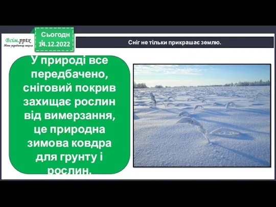 14.12.2022 Сьогодні Сніг не тільки прикрашає землю. У природі все