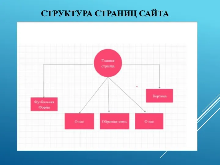 СТРУКТУРА СТРАНИЦ САЙТА