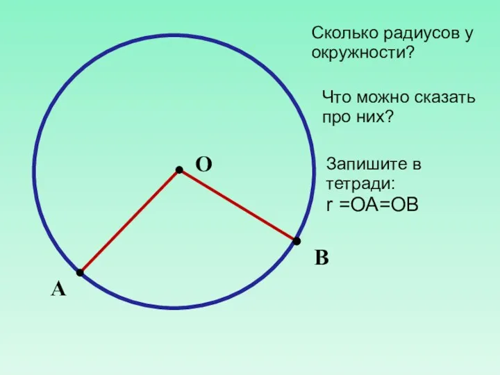 О В А Сколько радиусов у окружности? Что можно сказать