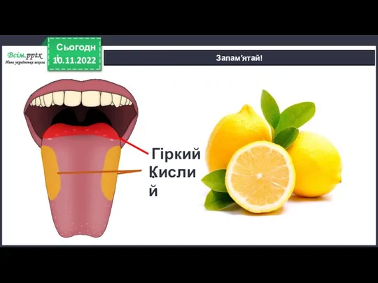 10.11.2022 Сьогодні Запам′ятай! Гіркий. Кислий