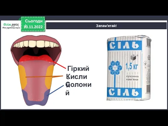 10.11.2022 Сьогодні Запам′ятай! Гіркий. Кислий Солоний