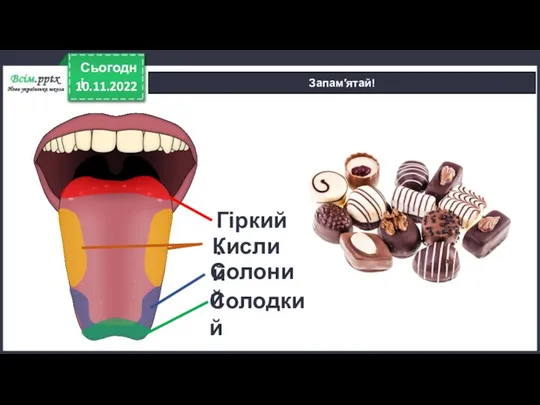 10.11.2022 Сьогодні Запам′ятай! Гіркий. Кислий Солоний Солодкий