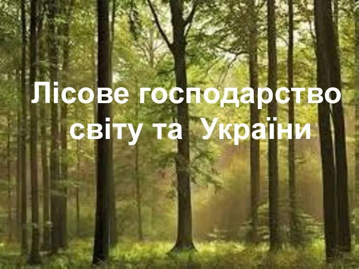 Лісове господарство світу та України