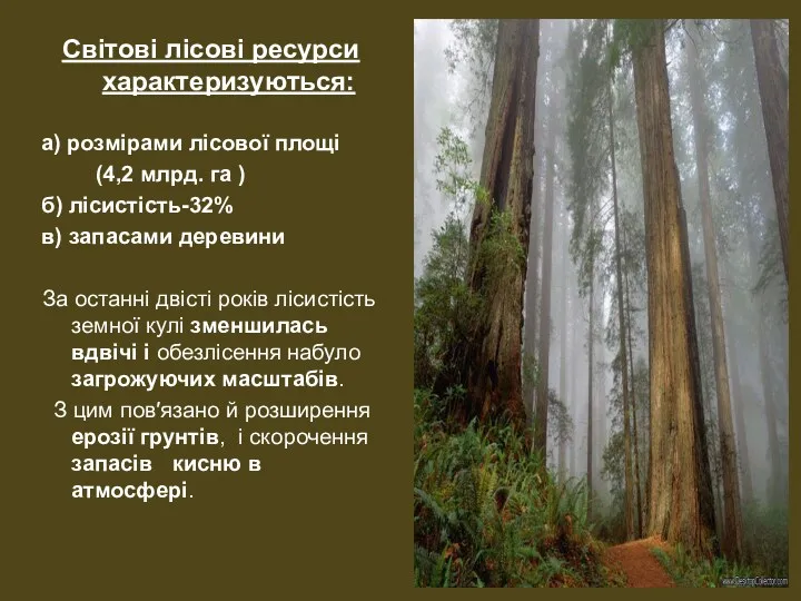 Світові лісові ресурси характеризуються: а) розмірами лісової площі (4,2 млрд. га ) б)
