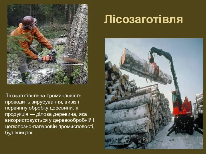 Лісозаготівля Лісозаготівельна промисловість проводить вирубування, вивіз і первинну обробку деревини, її продукція —