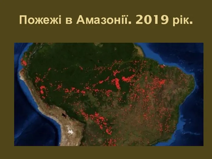 Пожежі в Амазонії. 2019 рік.