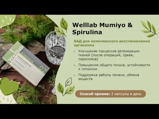 Welllab Mumiyo & Spirulina БАД для комплексного восстановления организма Улучшение