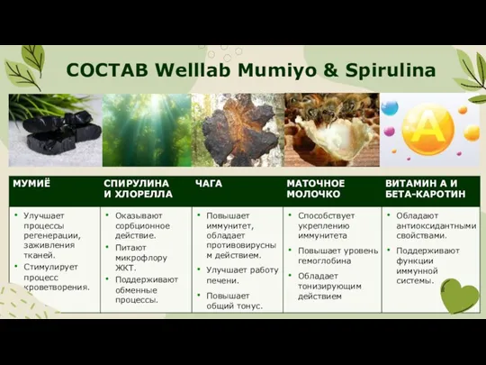 СОСТАВ Welllab Mumiyo & Spirulina ,