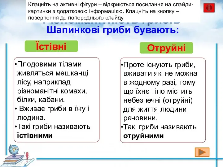 Плодовими тілами живляться мешканці лісу, наприклад різноманітні комахи, білки, кабани.