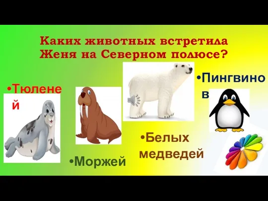 Каких животных встретила Женя на Северном полюсе? Тюленей Моржей Пингвинов Белых медведей