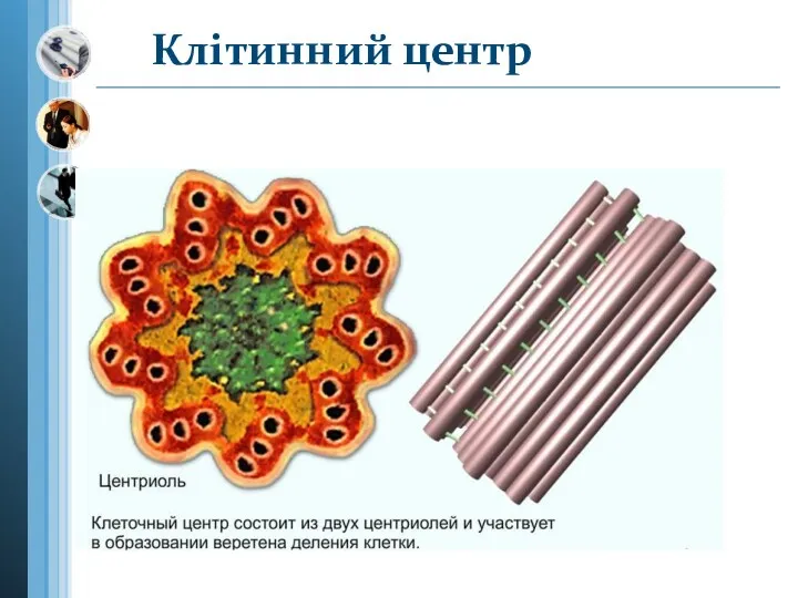 Клітинний центр