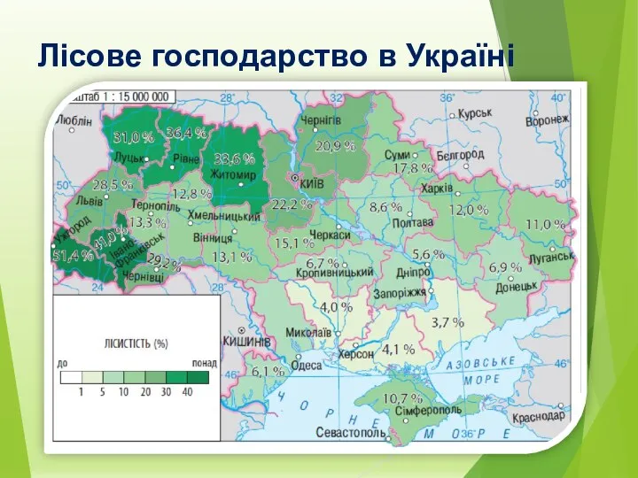 Лісове господарство в Україні