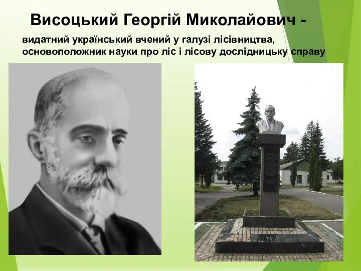 Висоцький Георгій Миколайович - видатний український вчений у галузі лісівництва, основоположник науки про