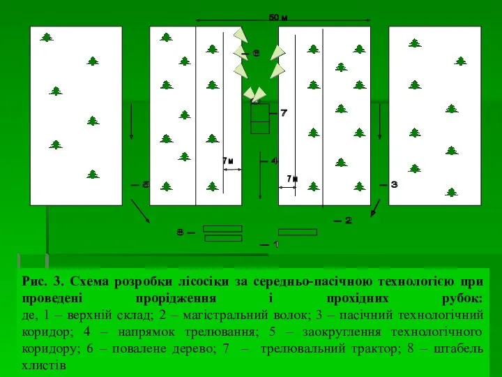 Рис. 3. Схема розробки лісосіки за середньо-пасічною технологією при проведені