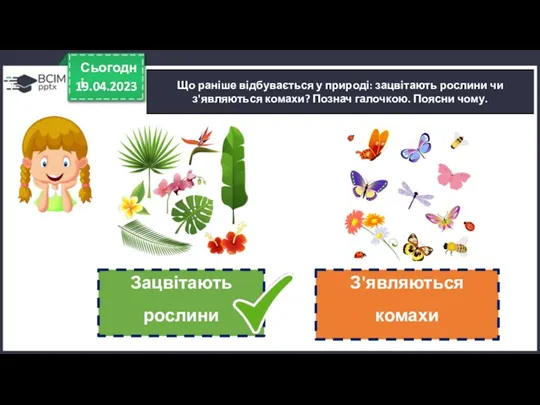 Що раніше відбувається у природі: зацвітають рослини чи з'являються комахи? Познач галочкою. Поясни