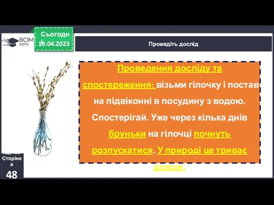 19.04.2023 Сьогодні Проведіть дослід Підручник. Сторінка 48 Проведення досліду та спостереження: візьми гілочку