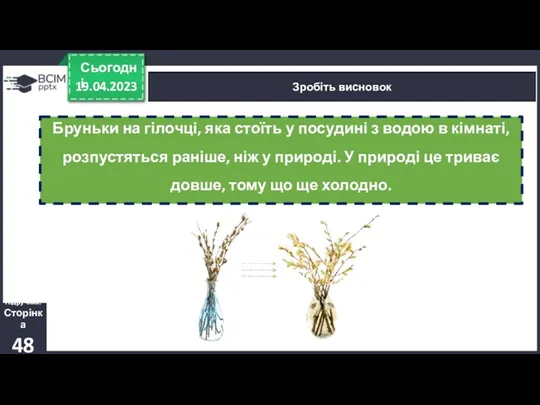 19.04.2023 Сьогодні Зробіть висновок Підручник. Сторінка 48 Бруньки на гілочці,