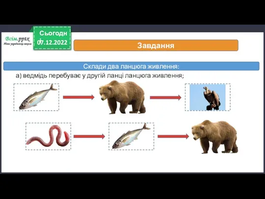 07.12.2022 Сьогодні Завдання Склади два ланцюга живлення: а) ведмідь перебуває у другій ланці ланцюга живлення;