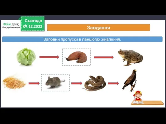 07.12.2022 Сьогодні Завдання Заповни пропуски в ланцюгах живлення.