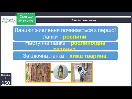 07.12.2022 Сьогодні Ланцюг живлення Підручник. Сторінка 150 Ланцюг живлення починається