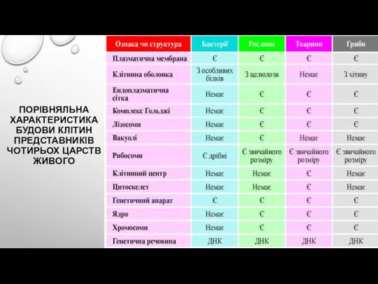 ПОРІВНЯЛЬНА ХАРАКТЕРИСТИКА БУДОВИ КЛІТИН ПРЕДСТАВНИКІВ ЧОТИРЬОХ ЦАРСТВ ЖИВОГО