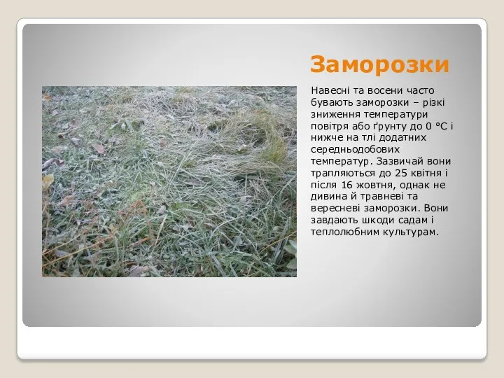 Заморозки Навесні та восени часто бувають заморозки – різкі зниження