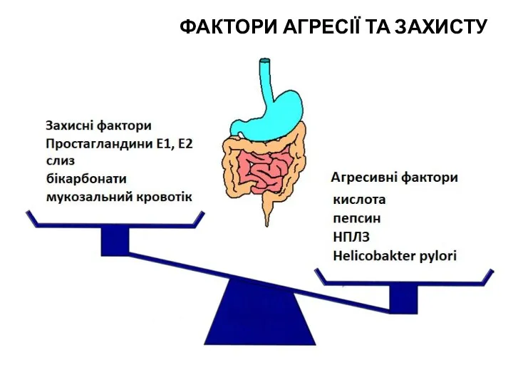 ФАКТОРИ АГРЕСІЇ ТА ЗАХИСТУ