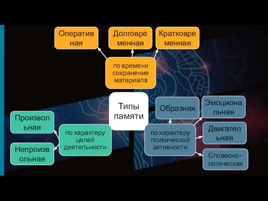 Произвольная Непроизвольная Образная Эмоциональная Двигательная Словесно-логическая Кратковременная Долговременная Оперативная