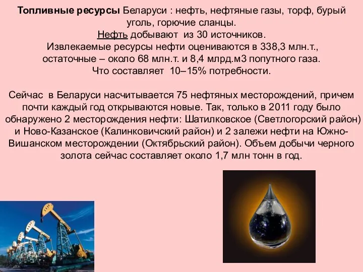 Топливные ресурсы Беларуси : нефть, нефтяные газы, торф, бурый уголь,