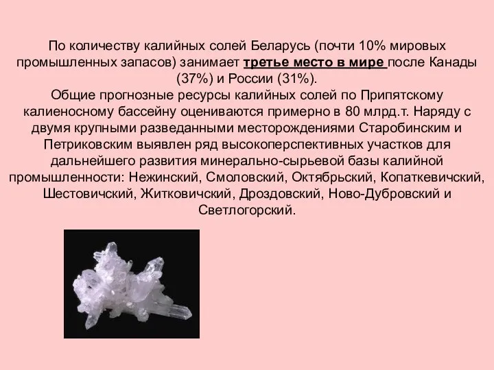 По количеству калийных солей Беларусь (почти 10% мировых промышленных запасов)