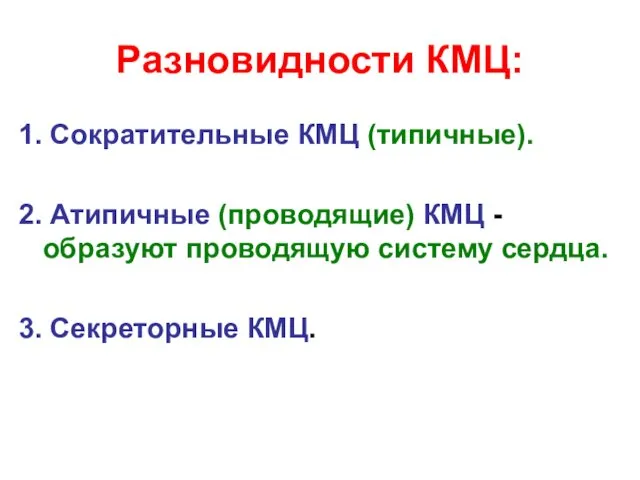 Разновидности КМЦ: 1. Сократительные КМЦ (типичные). 2. Атипичные (проводящие) КМЦ