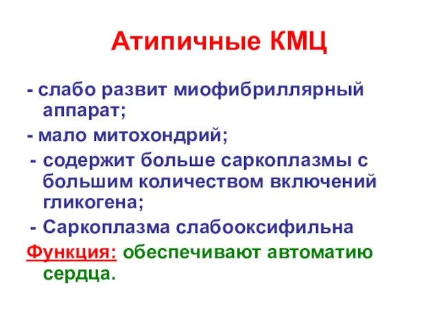 Атипичные КМЦ - слабо развит миофибриллярный аппарат; - мало митохондрий;