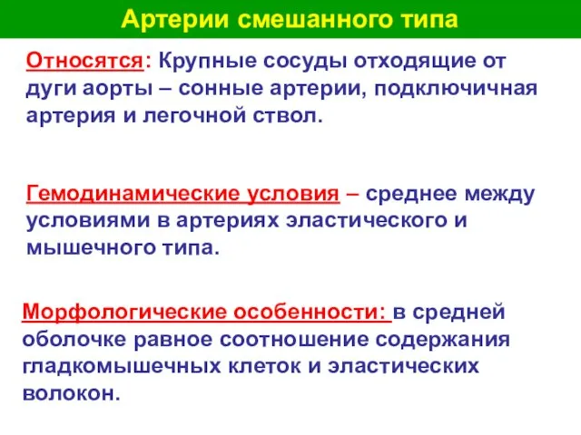 Артерии смешанного типа Относятся: Крупные сосуды отходящие от дуги аорты