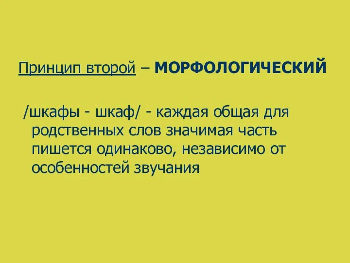 Принцип второй – МОРФОЛОГИЧЕСКИЙ /шкафы - шкаф/ - каждая общая