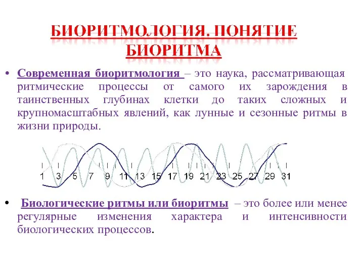 Современная биоритмология – это наука, рассматривающая ритмические процессы от самого