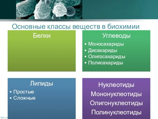 Основные классы веществ в биохимии