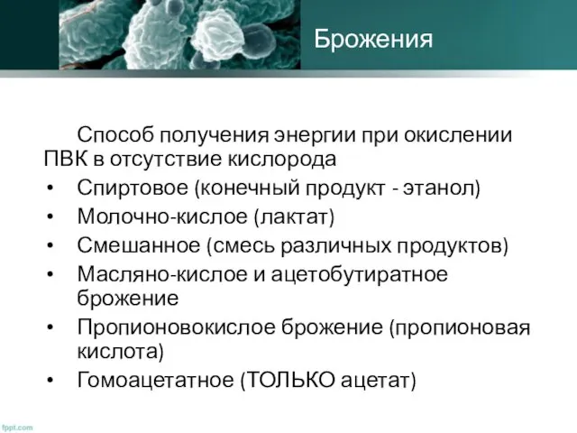 Брожения Способ получения энергии при окислении ПВК в отсутствие кислорода