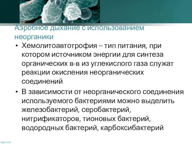 Аэробное дыхание с использованием неорганики Хемолитоавтотрофия – тип питания, при