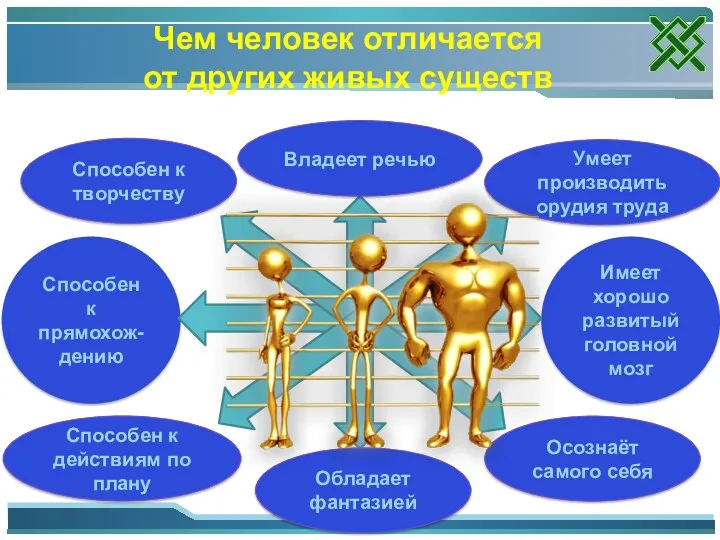 Имеет хорошо развитый головной мозг Способен к прямохож-дению Чем человек