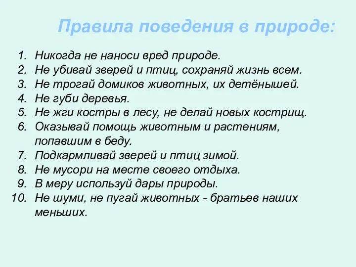 Никогда не наноси вред природе. Не убивай зверей и птиц,