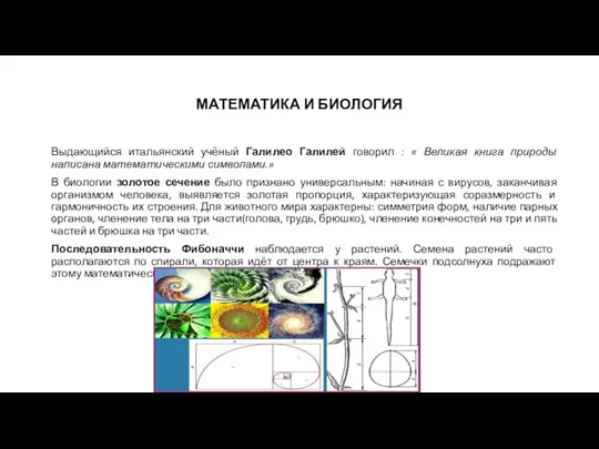 МАТЕМАТИКА И БИОЛОГИЯ Выдающийся итальянский учёный Галилео Галилей говорил :