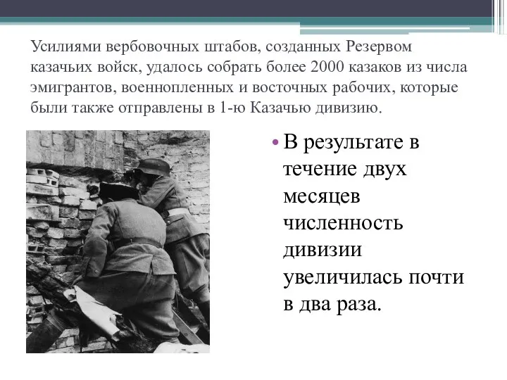 Усилиями вербовочных штабов, созданных Резервом казачьих войск, удалось собрать более 2000 казаков из