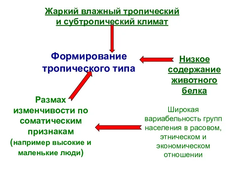 Жаркий влажный тропический и субтропический климат Формирование тропического типа Низкое