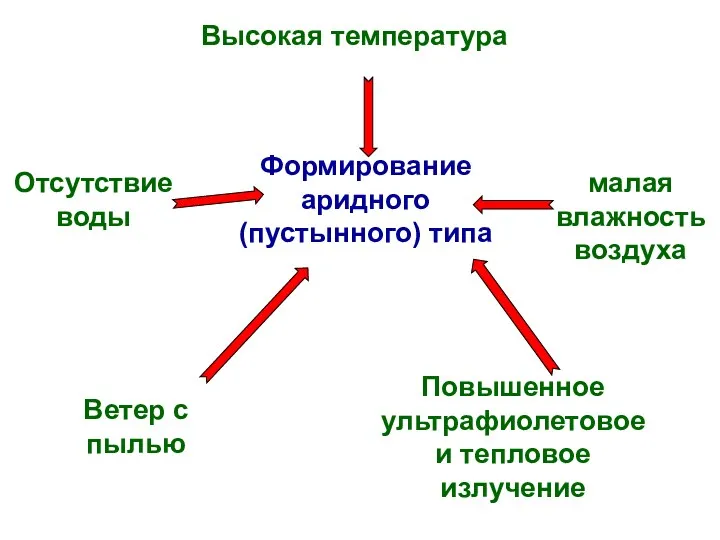 Высокая температура Формирование аридного (пустынного) типа малая влажность воздуха Отсутствие воды Ветер с