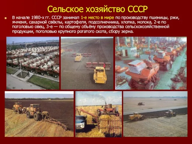 Сельское хозяйство СССР В начале 1980-х гг. СССР занимал 1-е место в мире