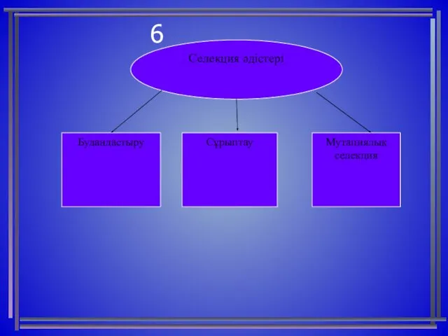 Селекция әдістері Будандастыру Сұрыптау Мутациялық селекция 6