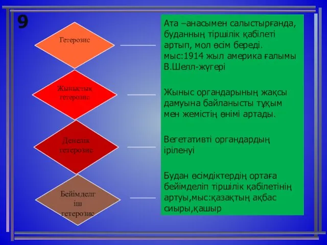 9 Ата –анасымен салыстырғанда, буданның тіршілік қабілеті артып, мол өсім