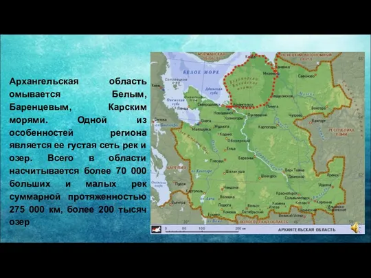 Архангельская область омывается Белым, Баренцевым, Карским морями. Одной из особенностей