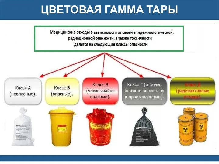 ЦВЕТОВАЯ ГАММА ТАРЫ